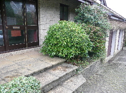 Project at beginning